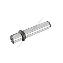 D00_3825037
